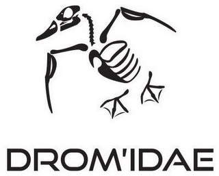DROM'IDAE logo