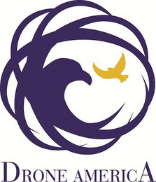 DRONE AMERICA logo