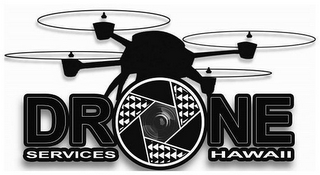 DRONE SERVICES HAWAII logo