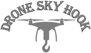 DRONE SKY HOOK logo