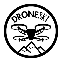 DRONESKI logo