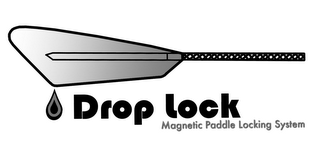 DROP LOCK MAGNETIC PADDLE LOCKING SYSTEM logo