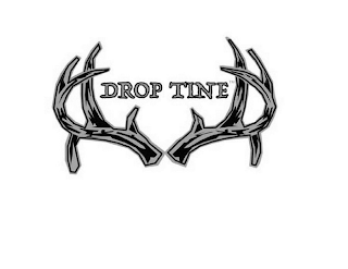 DROP TINE logo