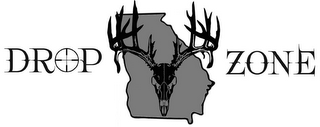 DROP ZONE logo