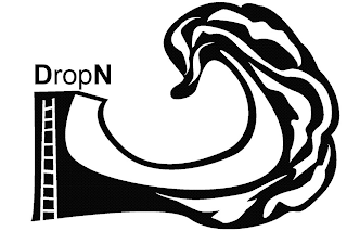 DROPN logo
