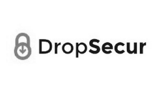 DROPSECUR logo