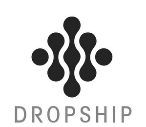 DROPSHIP logo