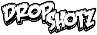 DROPSHOTZ logo