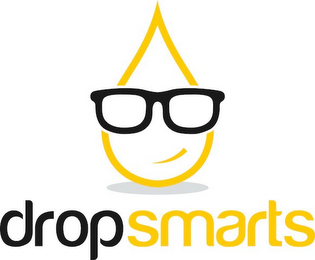 DROPSMARTS logo