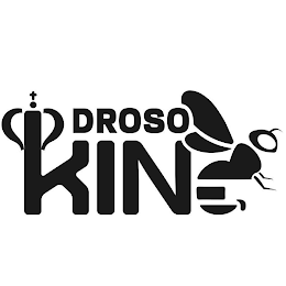 DROSO KING logo