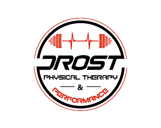 DROST PHYSICAL THERAPY & PERFORMANCE logo