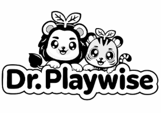 DR.PLAYWISE logo