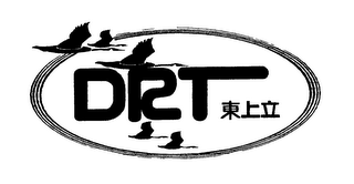 DRT logo