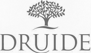 DRUIDE logo