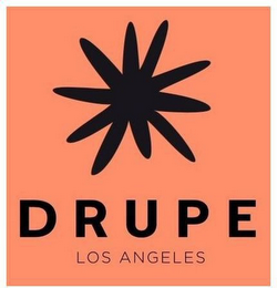 DRUPE LOS ANGELES logo