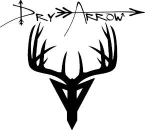 DRY ARROW logo