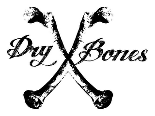 DRY BONES logo
