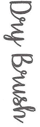 DRY BRUSH logo