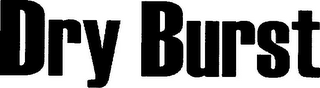 DRY BURST logo