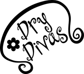 DRY DIVAS logo