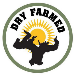 DRY FARMED logo