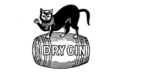 DRY GIN logo