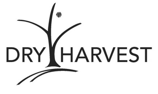 DRY HARVEST logo