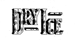 DRY ICE logo
