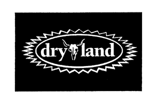 DRY LAND logo