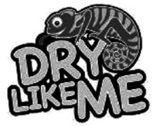 DRY LIKE ME logo
