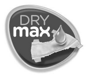 DRY MAX logo