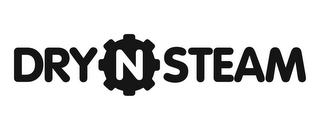 DRY N STEAM logo