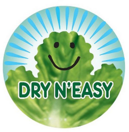 DRY N'EASY logo
