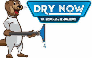 DRY NOW WATER DAMAGE RESTORATION logo