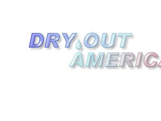 DRY OUT AMERICA INC logo