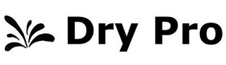 DRY PRO logo
