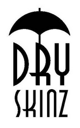 DRY SKINZ logo