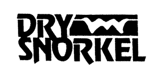 DRY SNORKEL logo