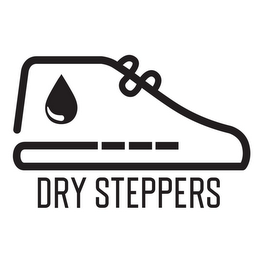 DRY STEPPERS logo