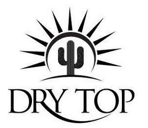 DRY TOP logo