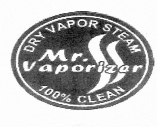 DRY VAPOR STEAM MR. VAPORIZER 100% CLEAN logo