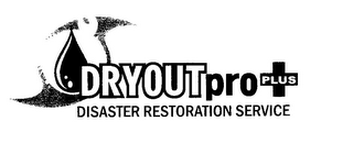 DRYOUTPRO PLUS DISASTER RESTORATION SERVICE logo