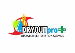 DRYOUTPRO PLUS DISASTER RESTORATION SERVICE logo