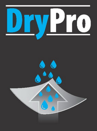 DRYPRO logo