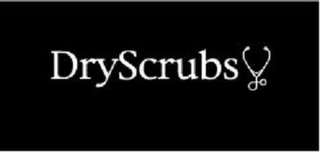 DRYSCRUBS logo