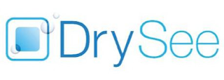 DRYSEE logo