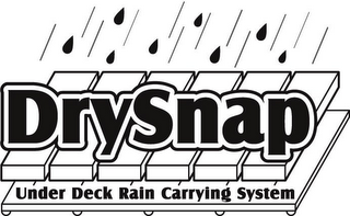 DRYSNAP UNDER DECK RAIN CARRYING SYSTEM logo