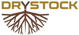 DRYSTOCK logo
