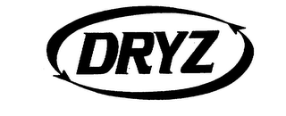 DRYZ logo