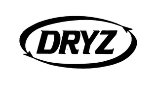 DRYZ logo